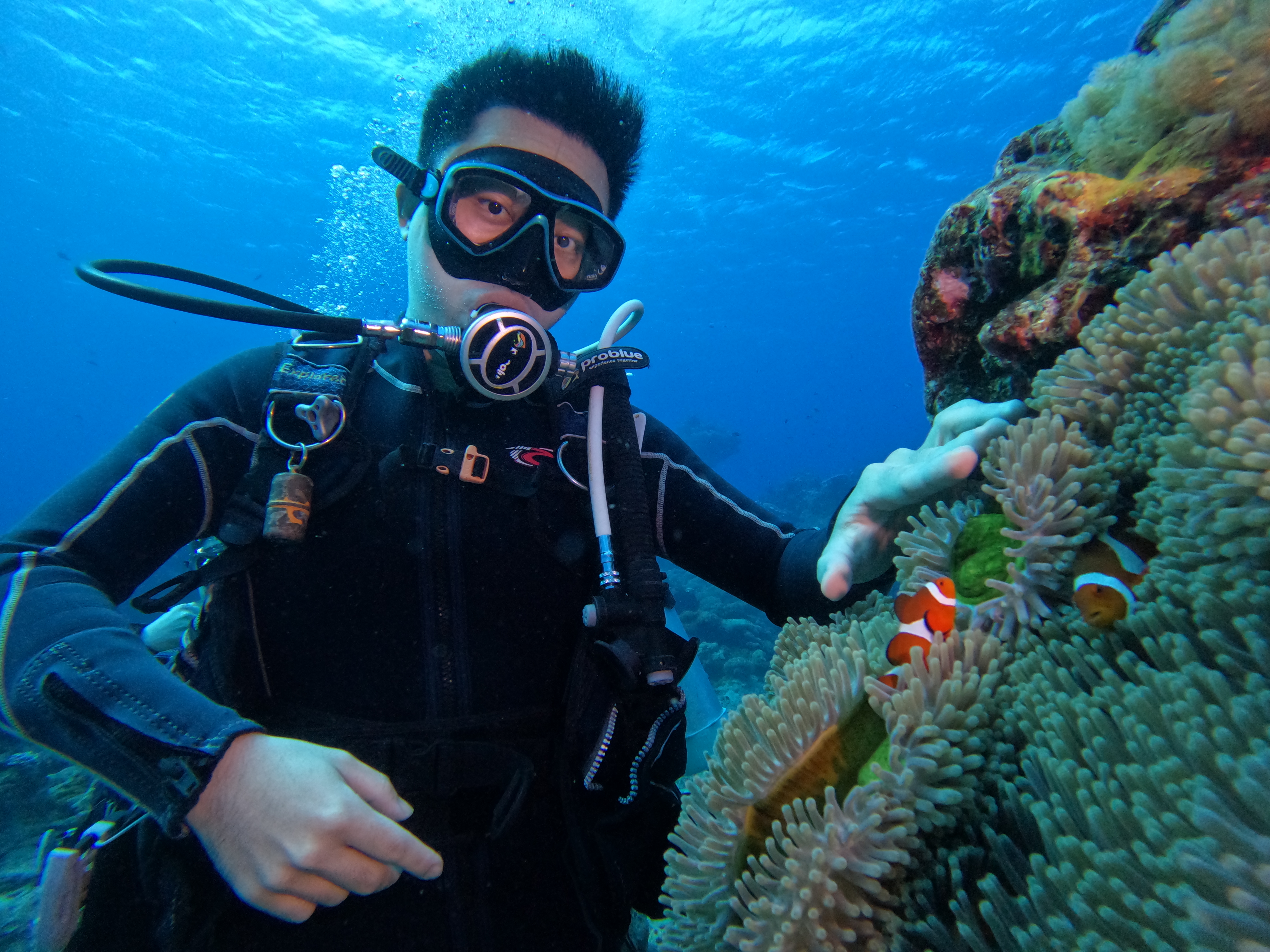 玩家個人簡介圖片