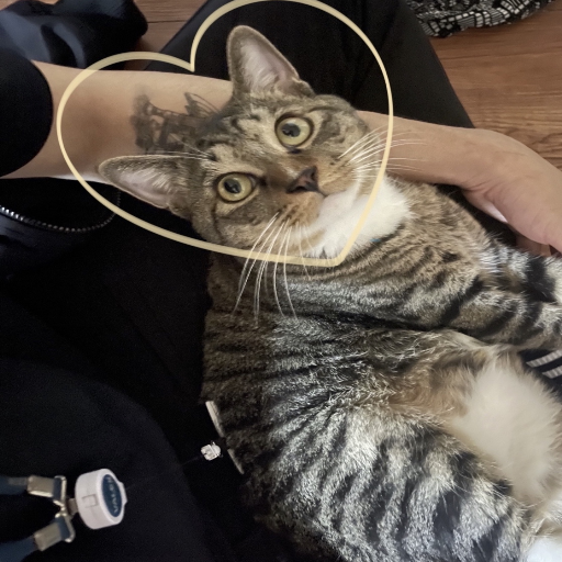 유저 프로필 이미지