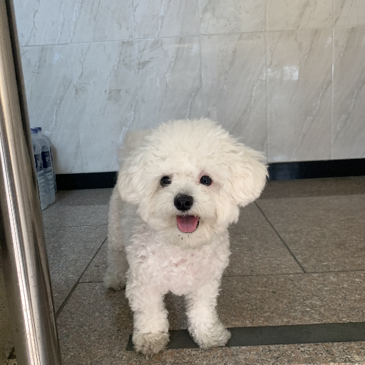 유저 프로필 이미지