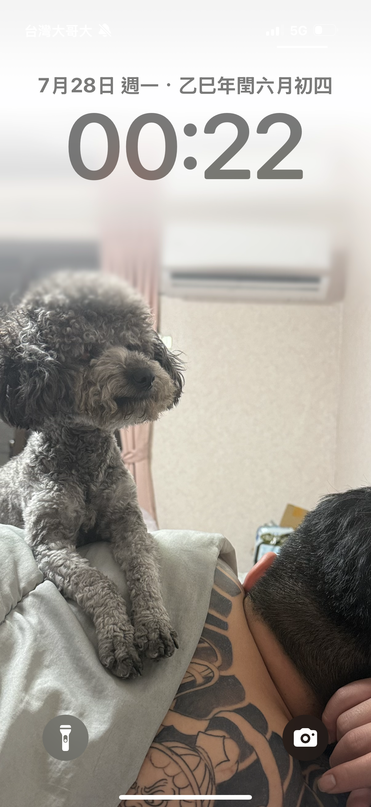 유저 프로필 이미지