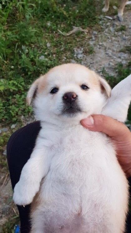 유저 프로필 이미지