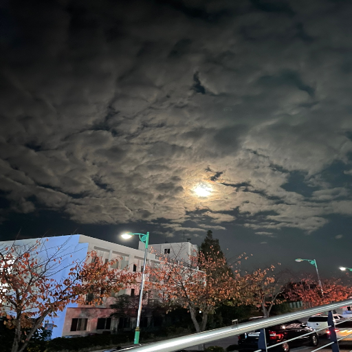유저 프로필 이미지