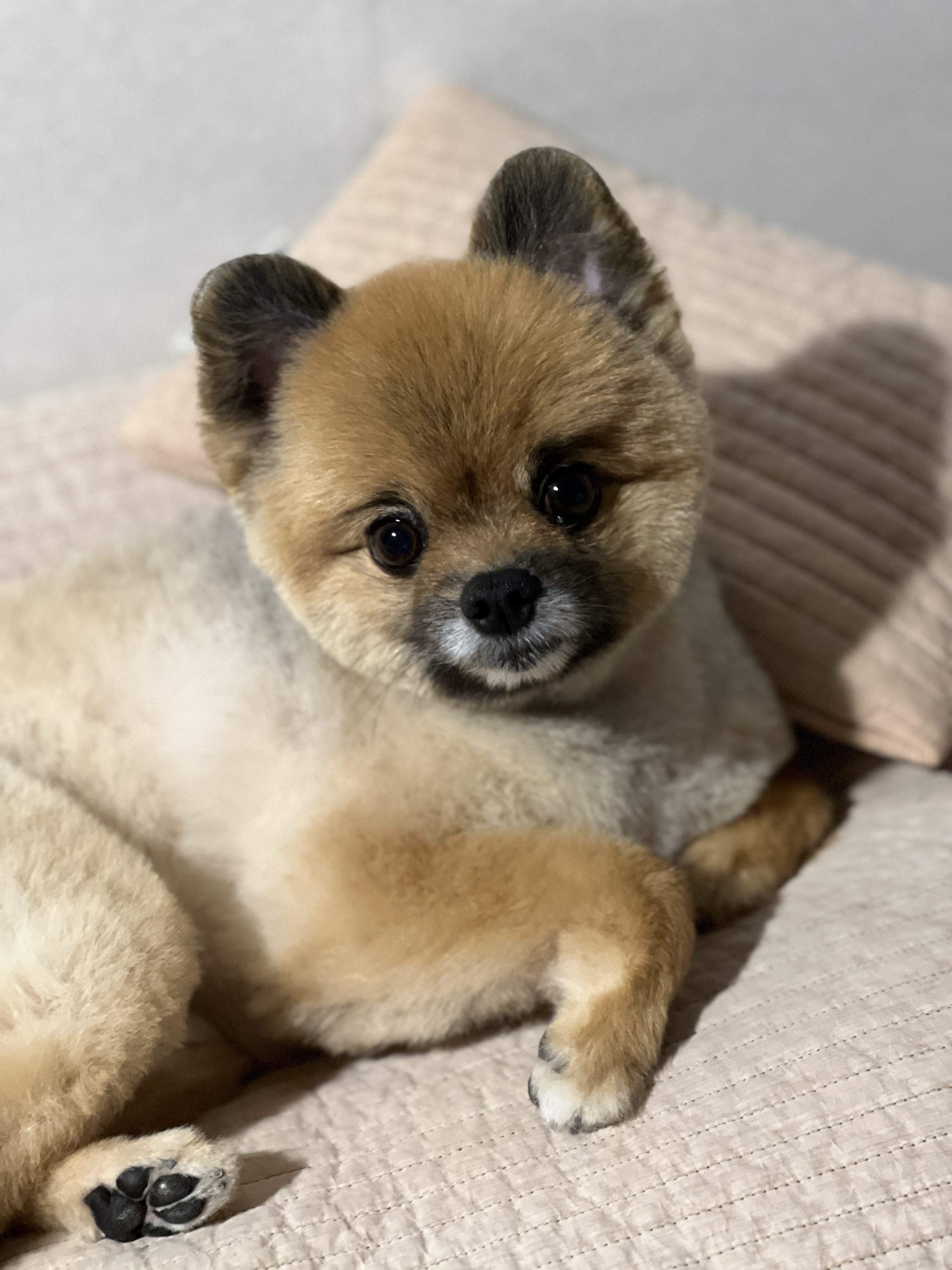 유저 프로필 이미지