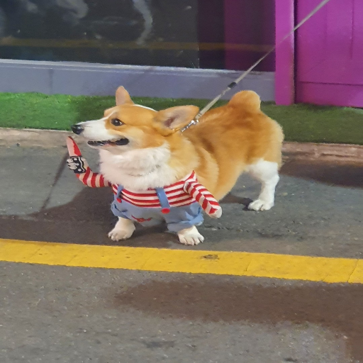 玩家個人簡介圖片