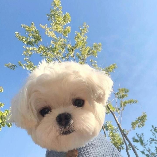 유저 프로필 이미지