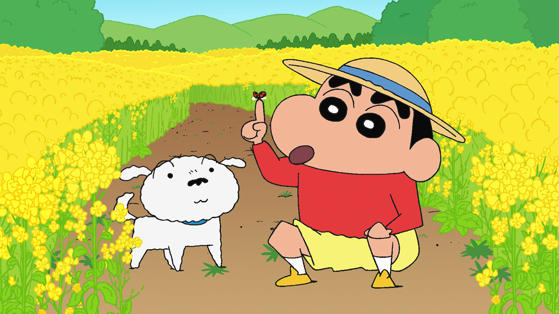 유저 프로필 이미지