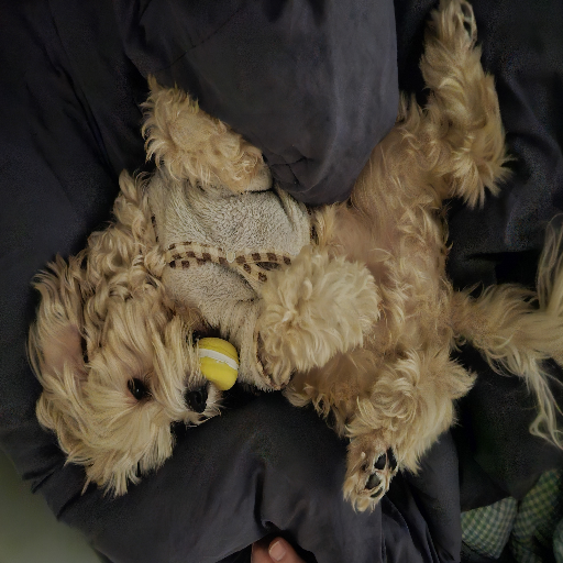 유저 프로필 이미지