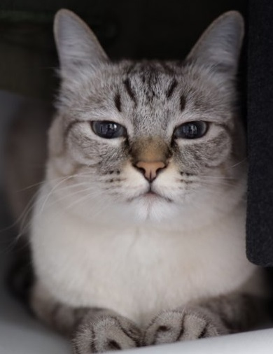 유저 프로필 이미지