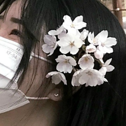 玩家头像图片