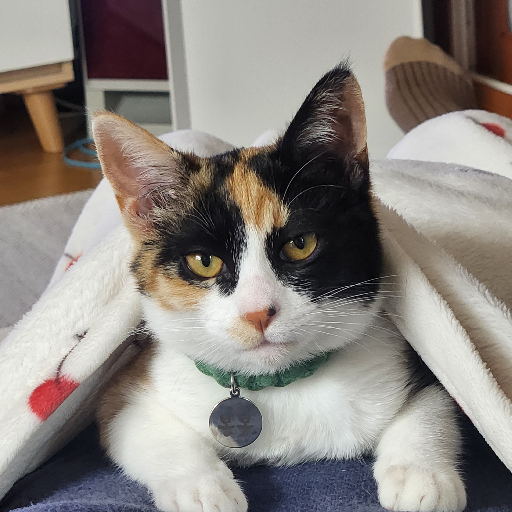 유저 프로필 이미지