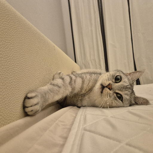 유저 프로필 이미지