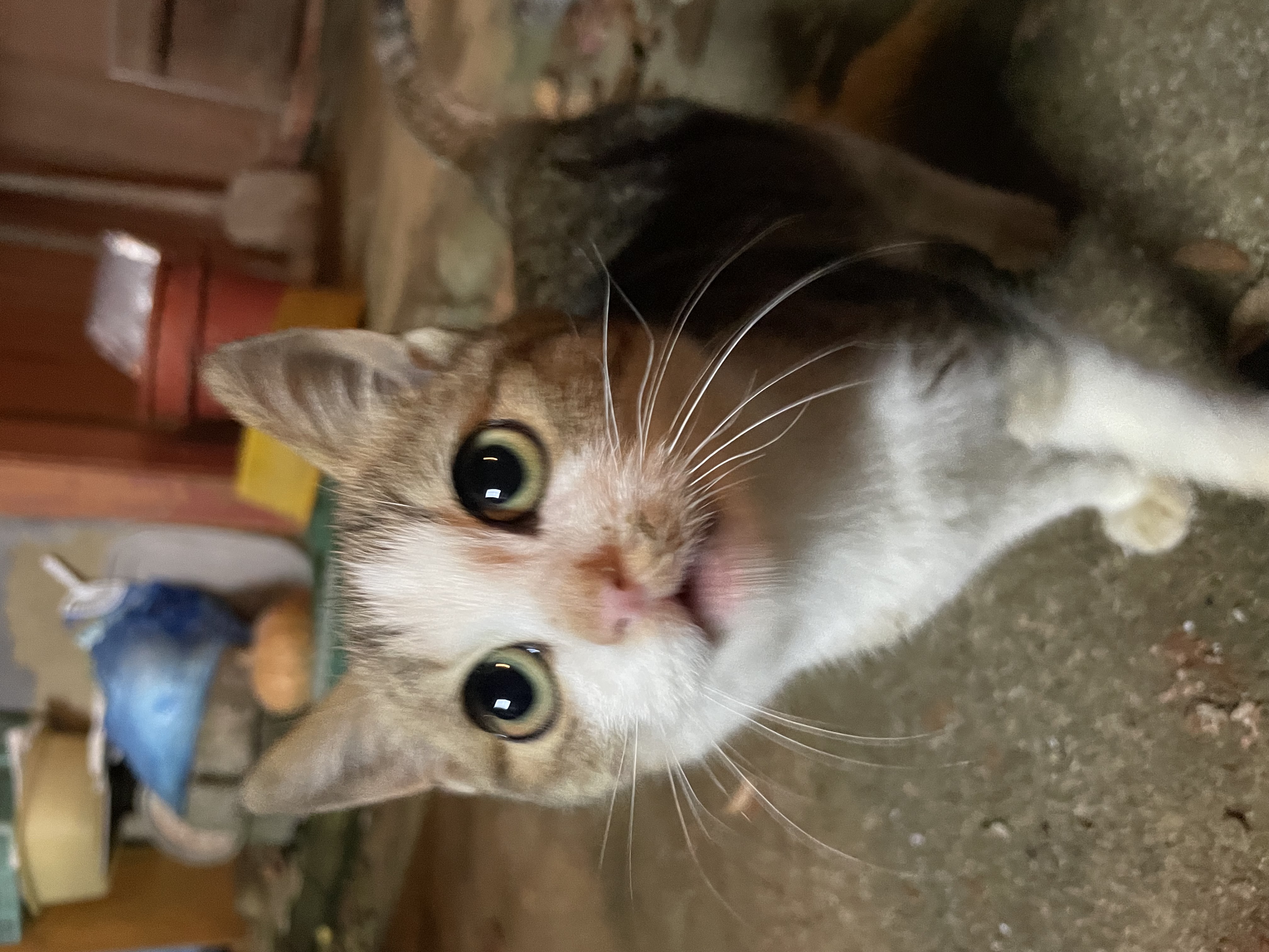 유저 프로필 이미지