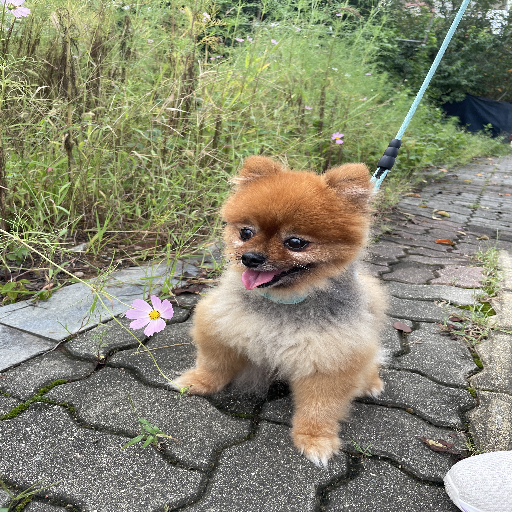 유저 프로필 이미지