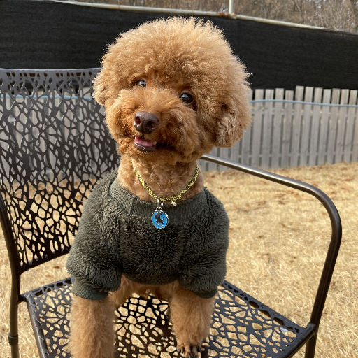 유저 프로필 이미지