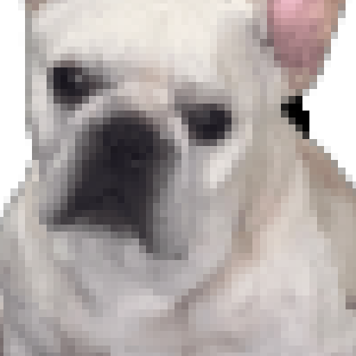 Imagen de perfil