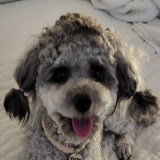 유저 프로필 이미지