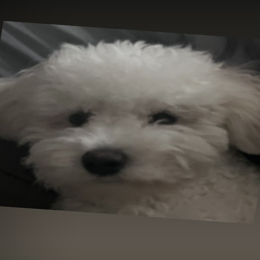 유저 프로필 이미지