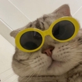 Imagen de perfil