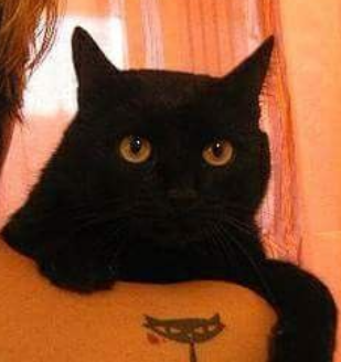 유저 프로필 이미지