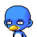 Imagen de perfil