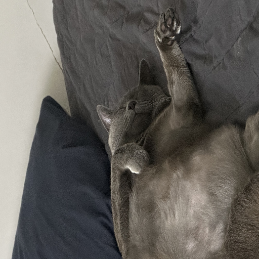 유저 프로필 이미지