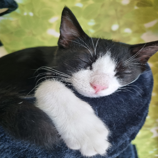 유저 프로필 이미지