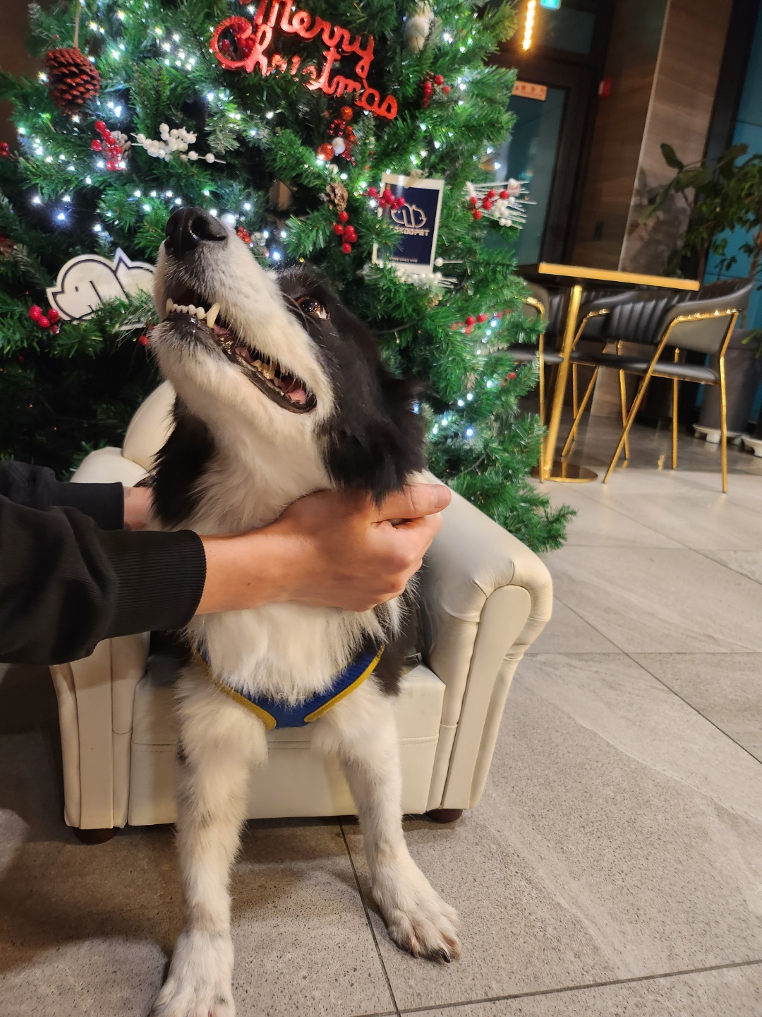 유저 프로필 이미지