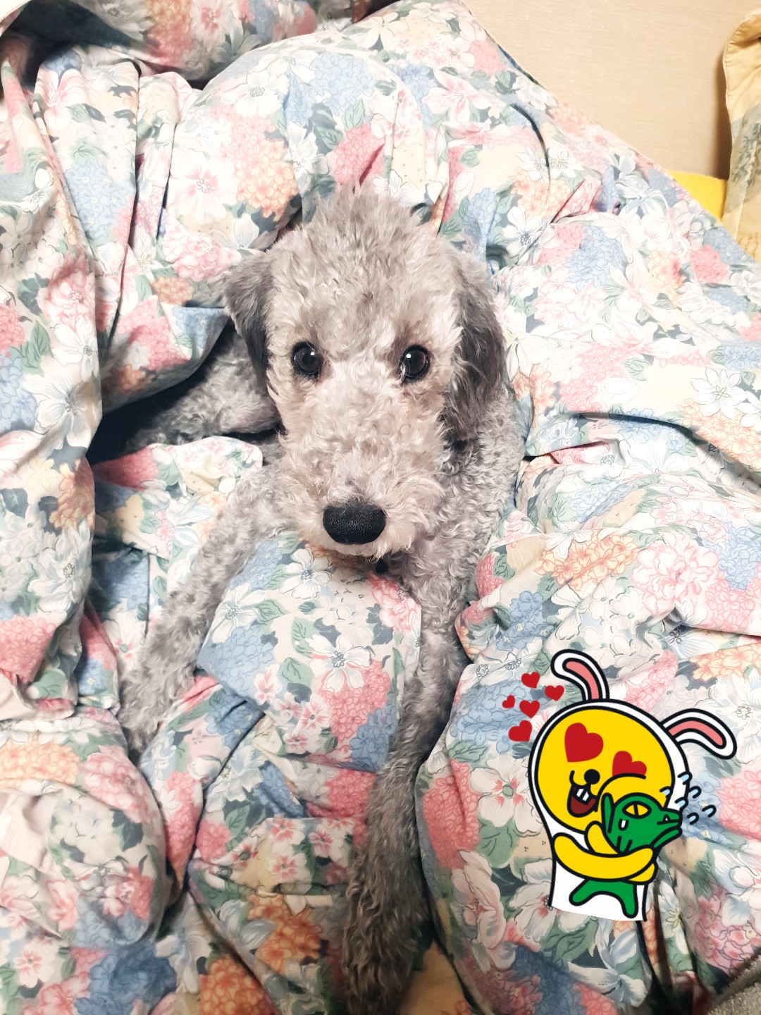 유저 프로필 이미지