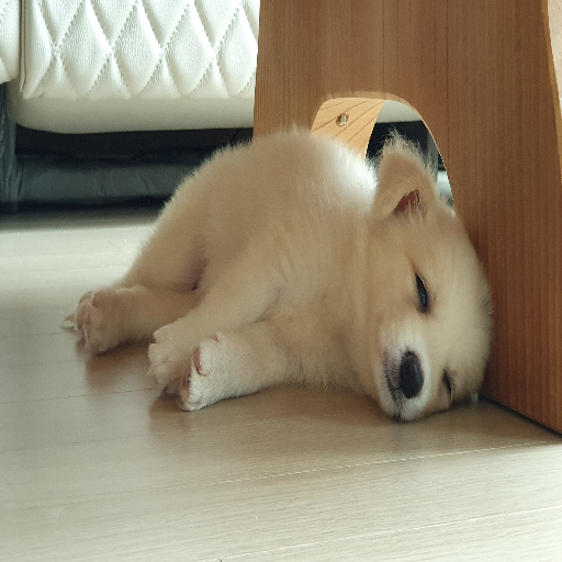 유저 프로필 이미지