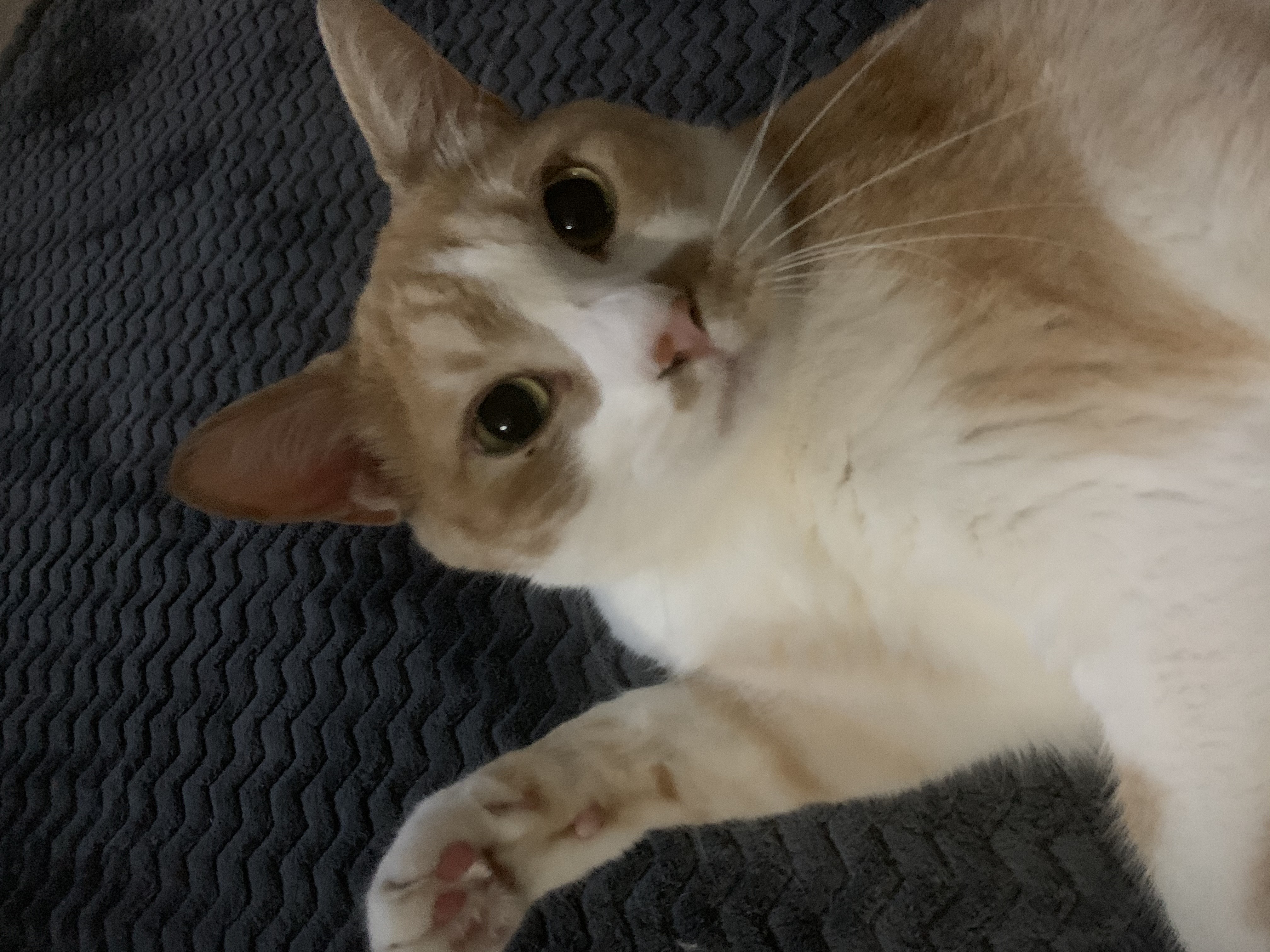 유저 프로필 이미지