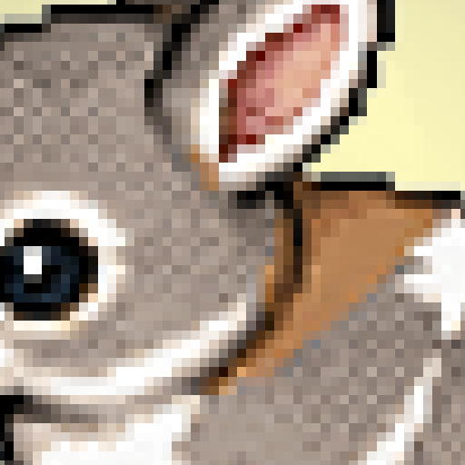 Imagen de perfil